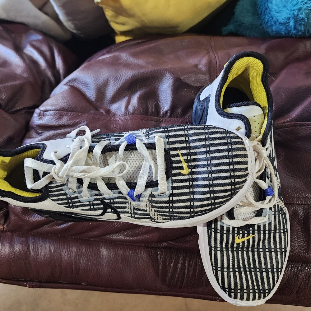 Nike LeBron court shoes 5 1/2
